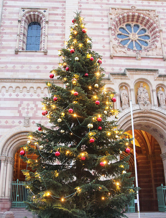 211206 weihnachtsbaum02