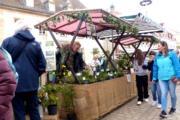 220919 bauernmarkt05
