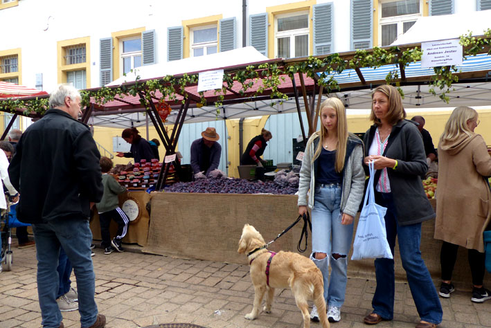 220919 bauernmarkt07
